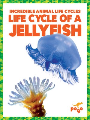 cover image of Life Cycle of a Jellyfish